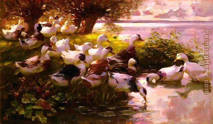 Max Ducks On A Lake painting - Alexander Koester Max Ducks On A Lake art painting